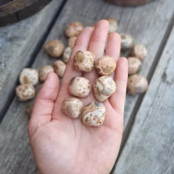 Leopardit, cuddlestone