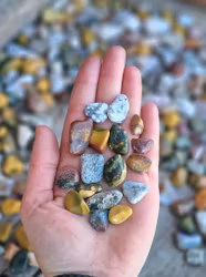 Oceanjaspis, små trumlade