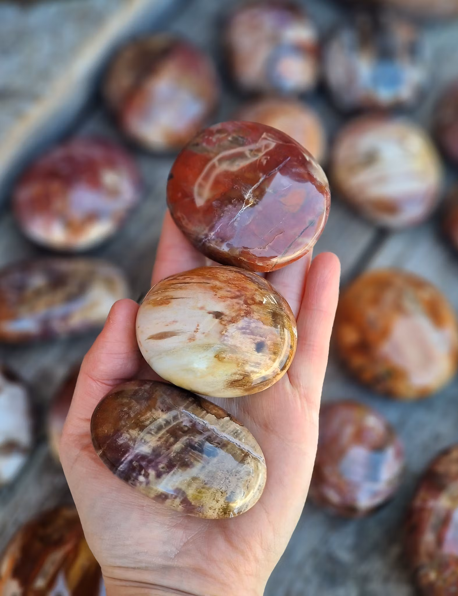 Förstenat trä, stor touchstone