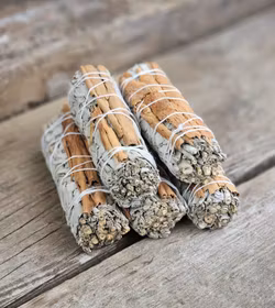 Vit Salvia med Kanel