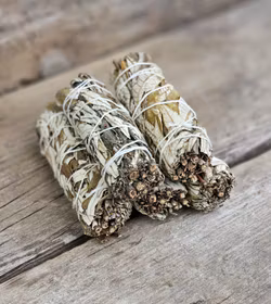 Yerba Santa (Helig ört)