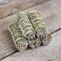 Vit Salvia med Rosmarin