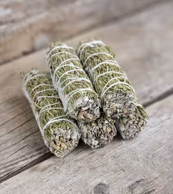 Vit Salvia med Rosmarin