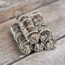 Vit Salvia med Pepparmynta