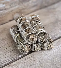 Vit Salvia med Pepparmynta