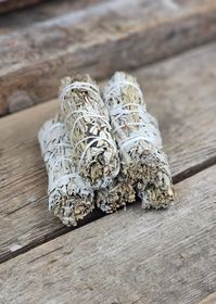 Vit Salvia i kombination med Blå Salvia (Shasta Sage) & Yerba Santa