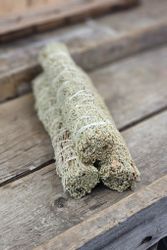 Blå Salvia, extra stor (Shasta Sage)