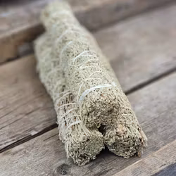 Blå Salvia, extra stor (Shasta Sage)