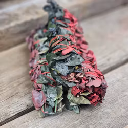 Eukalyptusblad i kombination med Dragons blood