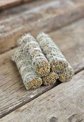 Blå Salvia (Shasta Sage)