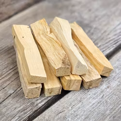 Palo Santo (Heligt trä), extra stor