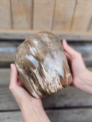 Förstenat trä, polerad kristall stående friform XL #1