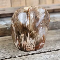 Förstenat trä, polerad kristall stående friform XL #1