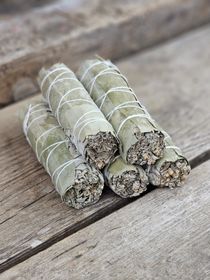 Vit Salvia med Eukalyptus