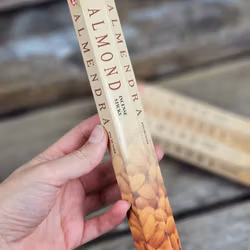 HEM - Almond, rökelsepinnar