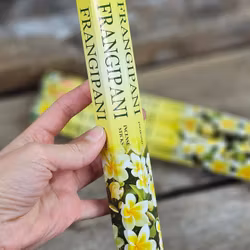 HEM - Frangipani, rökelsepinnar