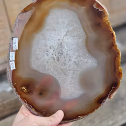Agatskiva, XL naturlig #1