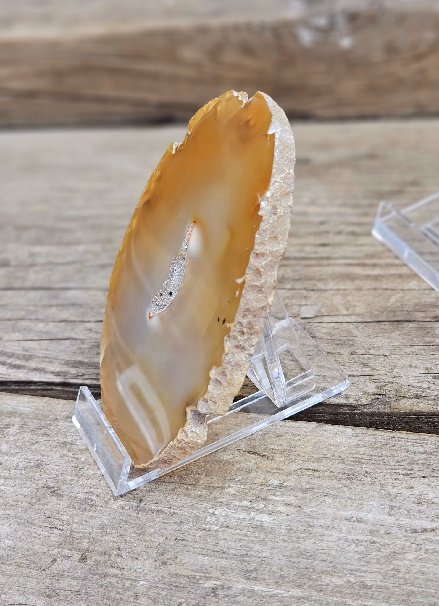 Plastställning för kristaller/fossiler, liten