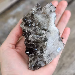 Rökkvartskluster #18