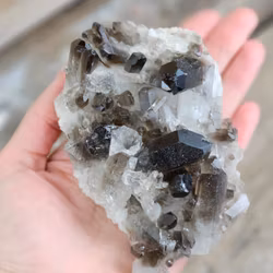 Rökkvartskluster #19