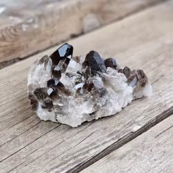 Rökkvartskluster #19