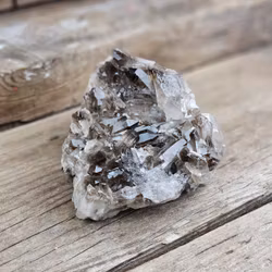 Rökkvartskluster #22