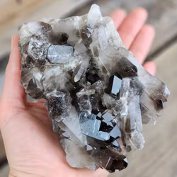 Rökkvartskluster #23