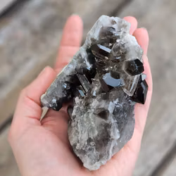 Rökkvartskluster #24