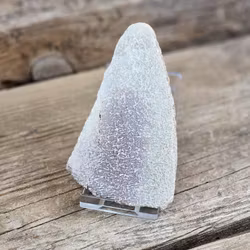 Dinosaurie-ben från Atlasaurus #1