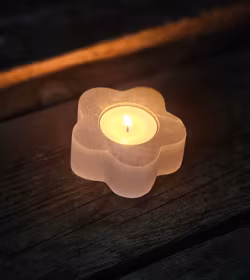 Vit Selenit, ljuslykta blomma