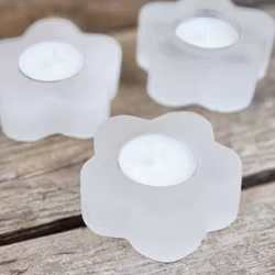 Vit Selenit, ljuslykta blomma