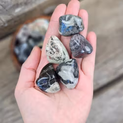 Silverlövsjaspis, stor trumlad