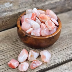 Aprikosagat, trumlad