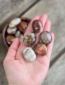 Förstenat trä, mini touchstone