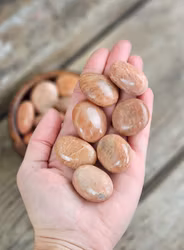 Persikomånsten, mini touchstone