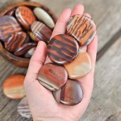 Cappuccinojaspis platta, touchstone