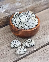 Dalmatinerjaspis platta, touchstone