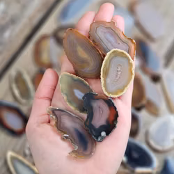 Agatskiva, natur mini