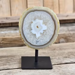 Agatskiva, på ställning #8