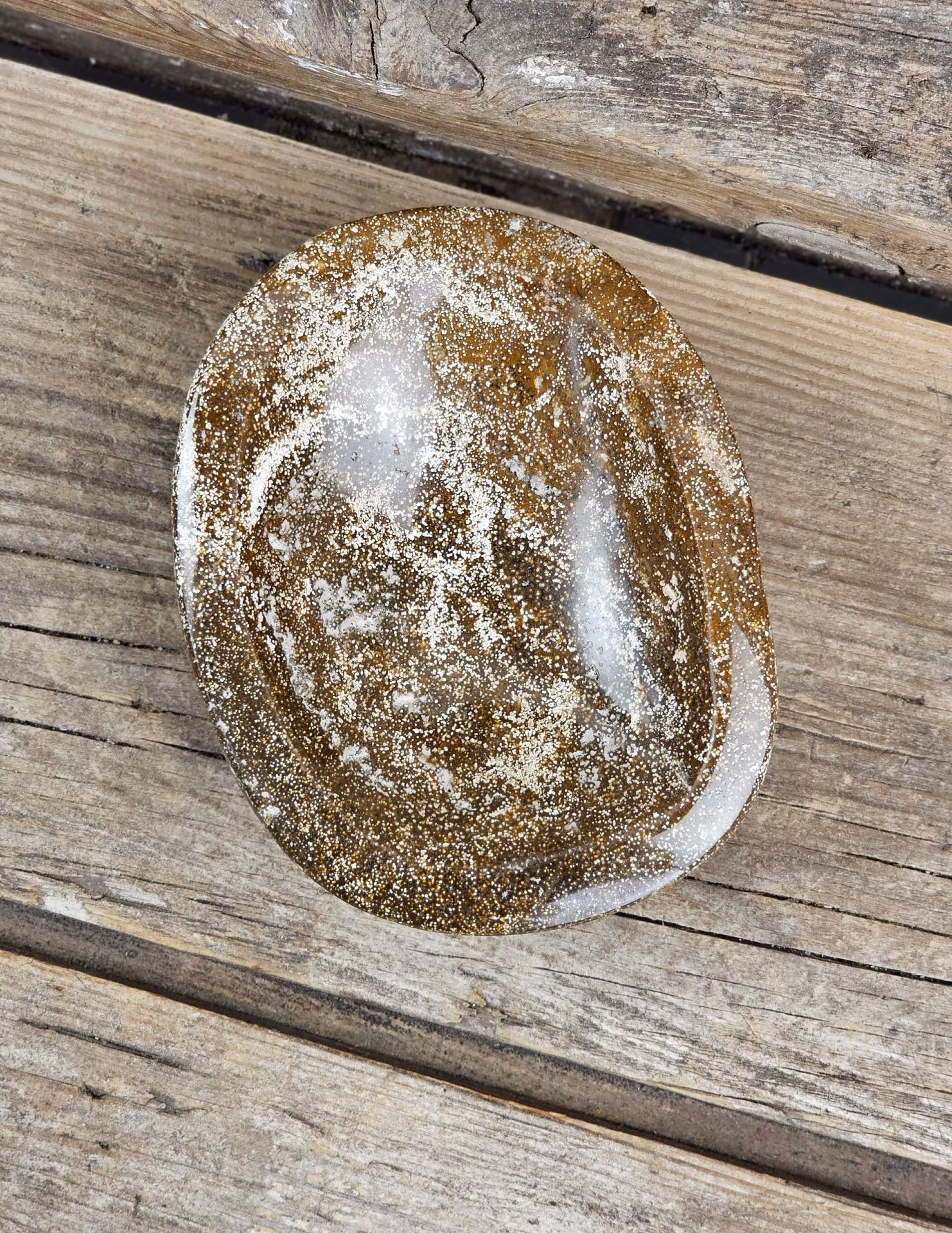 Oceanjaspis, skål