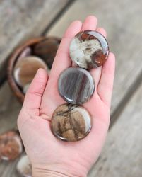 Förstenat trä platta, touchstone