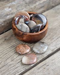 Förstenat trä platta, touchstone