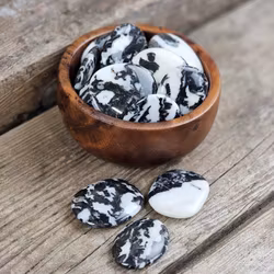 Zebrajaspis platta, touchstone