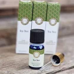 Song Of India - Tea Tree, Eterisk olja Aromaterapi