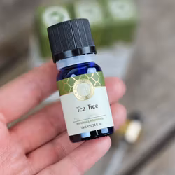 Song Of India - Tea Tree, Eterisk olja Aromaterapi
