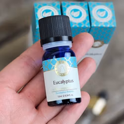 Song Of India - Eucalyptus, Eterisk olja Aromaterapi