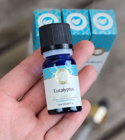 Song Of India - Eucalyptus, Eterisk olja Aromaterapi