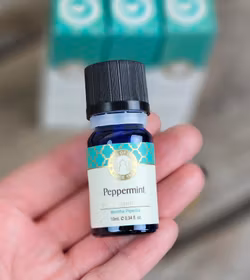 Song Of India - Peppermint, Eterisk olja Aromaterapi