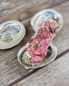 Paua Abalone snäcka, mini