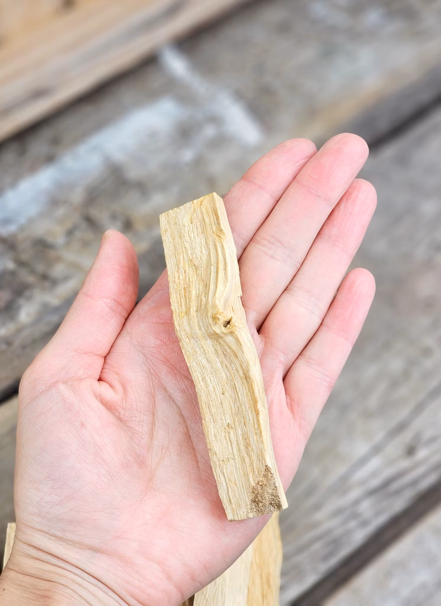 Palo Santo (Heligt trä), extra stor